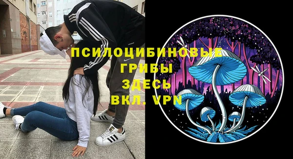 метамфетамин Аркадак
