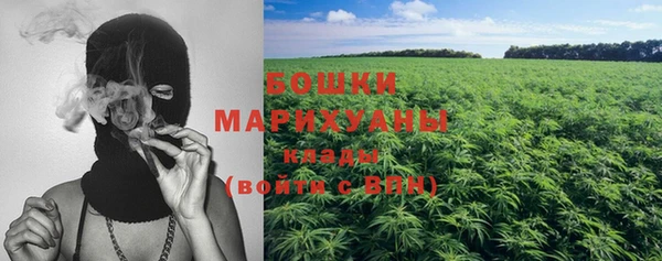 дживик Нягань